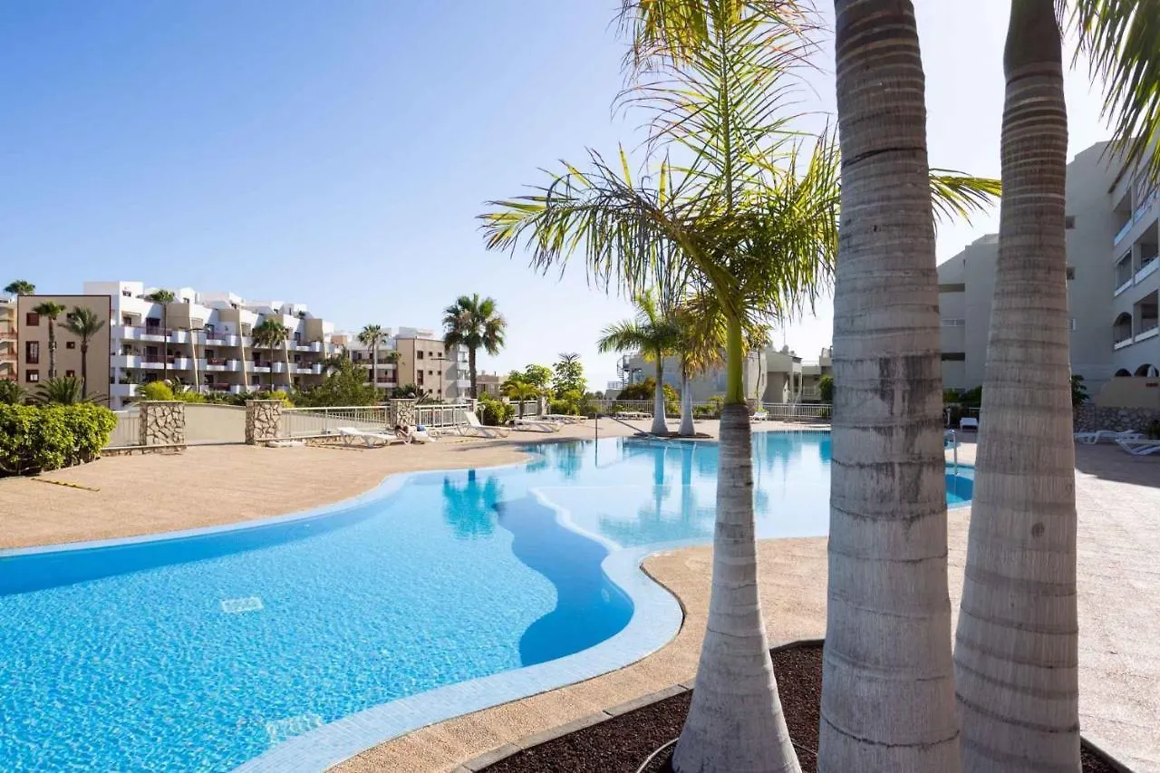 Apartment In Santa Cruz De Tenerife - Insel Teneriffa 42917 パルム・マール